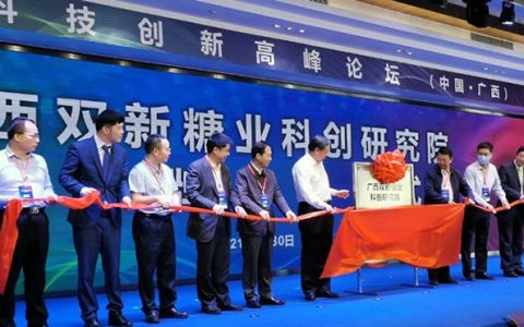 广西双新糖业科创研究院揭牌 推动广西糖业高质量发展