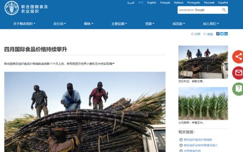 联合国粮农组织：四月国际食品价格持续攀升 糖价涨幅最大