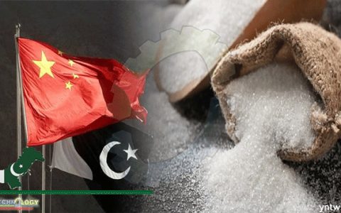 中国与巴基斯坦开展甘蔗产业合作交流 共创甜蜜事业