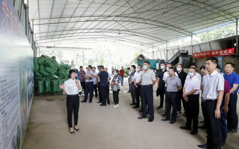大力发挥糖企带动作用 加快推进蔗叶综合利用--2021年广西制糖企业蔗叶综合利用现场推进会在柳城召开