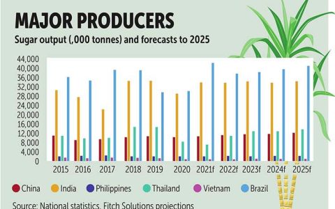 东南亚甘蔗机械化取得进展 泰国将成区域供应中心