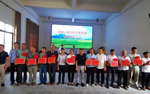 广西凤糖集团柳城糖厂、柳肥公司原料蔗发展破困局