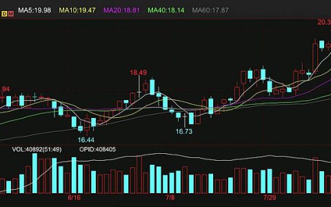 外盘原糖期货涨至20.17美分