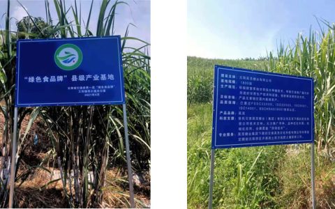 云南元阳：打造“绿色食品牌”  促进甘蔗产业高质量发展