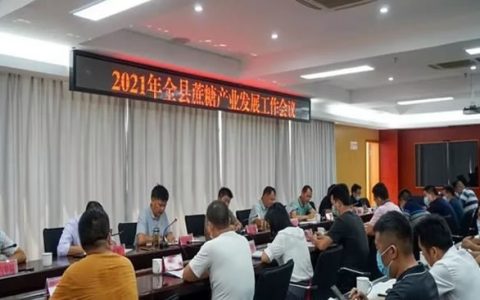 云南盈江县召开蔗糖产业发展工作会 安排部署糖业工作