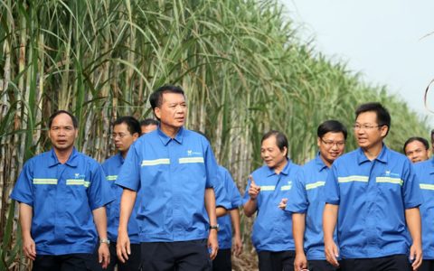 泰中“甜蜜事业”耕耘者述说收获--东亚糖业首席运营官兼总裁