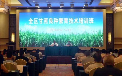 广西全区甘蔗良种繁育技术培训班在南宁举办
