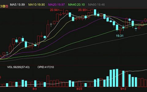 ICE原糖期货涨至20美分之上 10月合约交割 路易达孚接货