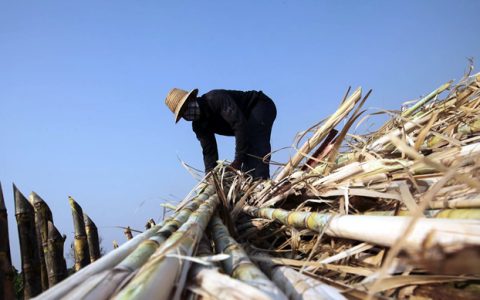 越南已展开从其他国家进口原产自泰国糖的反倾销调查