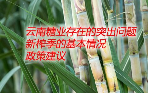 云南糖协理事长：云南糖业存在的突出问题 新榨季的基本情况 政策建议