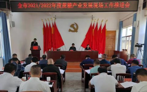 保山市召开2021/22年度蔗糖产业发展现场推进会