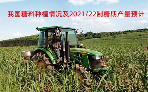 我国2021年糖料种植情况及2021/22年制糖期产量预计