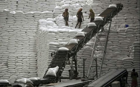 新榨季两个月印度产糖472万吨 同比增9.8% 已出口350万吨