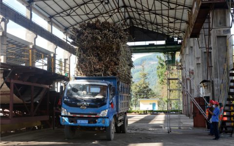 云南英茂糖业4家糖厂落蔗开榨 新榨季预计生产情况