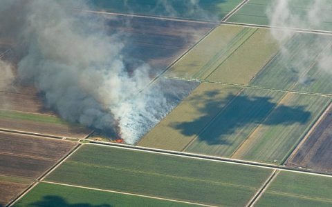 美焚烧蔗叶的作业方式引发关注 可效仿巴西再生能源