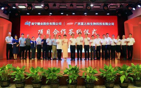 南宁糖业打造产业集群显成效 研发“专精特新”产品延伸产业链