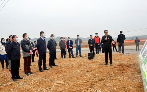 广西区“桉退蔗进”工作现场会在武宣县召开