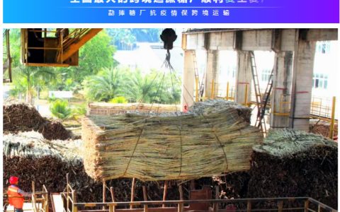 全国最大的跨境运蔗糖厂顺利复工复产