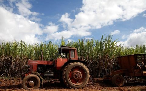 古巴糖业创历史新低 产量不及80万吨 预计难于满足国内需求和出口中国