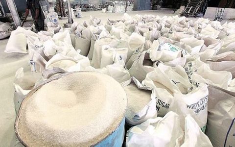 截至1月底印度本榨季产糖已达1870万吨 同比增5.64%