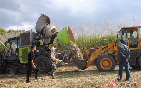 云南景谷：科技助力糖业高质量发展