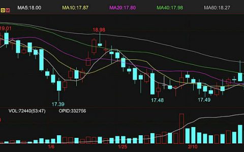 国际油价狂飙 ICE原糖期货跳涨至18.64美分