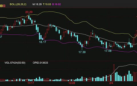 能源价格下挫 隔夜外盘原糖期货大幅下跌