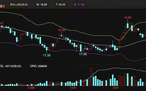 印度或将控制食糖出口量 外盘原糖期货涨至4个月新高