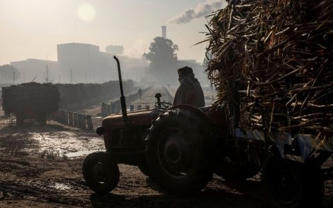 印度：榨季即将结束 已产糖3167万吨 3家糖厂未收榨 消费量预增