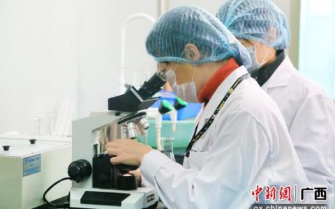 南宁糖业筑牢食糖安全防线 保障“舌尖上”的安全