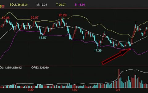 人气高涨 周五ICE原糖期货报收20.41美分触及新高 也有交易商看落