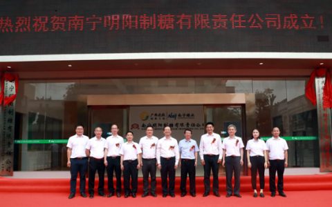 南宁糖业启动直属糖厂公司化改制