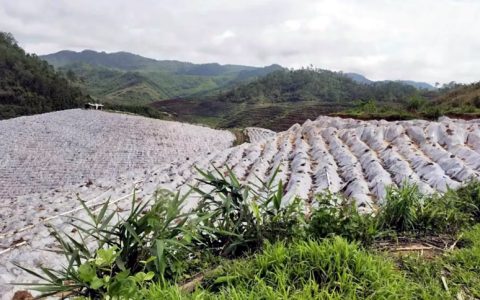 英茂糖业景真糖厂开拓境外新蔗区资源为原料发展蓄能