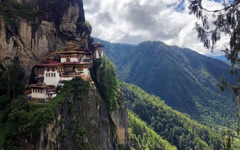 印度限制食糖出口可能冲击不丹食品加工业