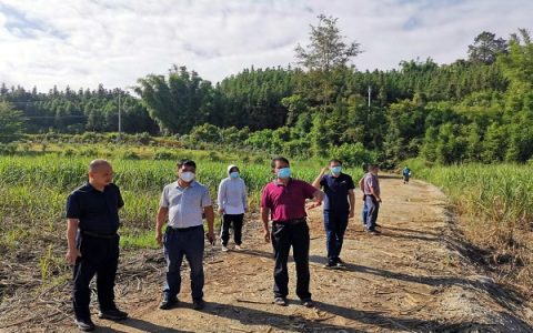 云南德宏州农业农村局蔗糖专班督导组开展蔗糖产业督导检查