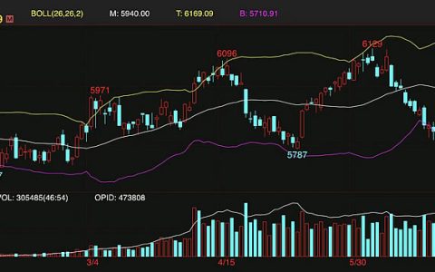 盘面创新低 今日广西现货市场糖价情况
