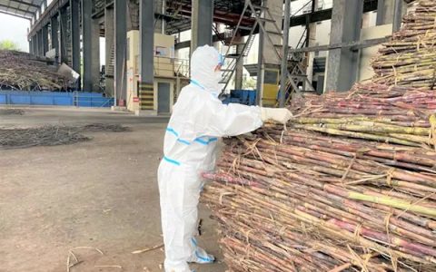 云南英茂糖业全面完成2021/2022榨季生产