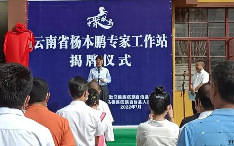 云南省唯一蔗糖产业领域专家工作站揭牌