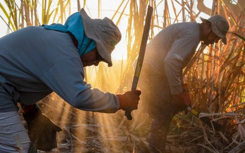 美国从低税率进口糖国家名单中删除尼加拉瓜 施压与俄关系