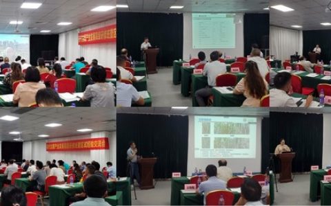 2022年现代甘蔗产业发展高级研修班暨区试经验交流会在三亚召开