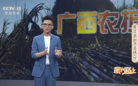 广西农担公司创新融资模式助力糖业高质量发展案例亮相央视