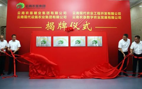 云南农垦集团5户企业（含糖业）改革重组揭牌