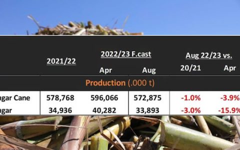 Conab：巴西2022/23榨季产糖量预估下调至3389万吨