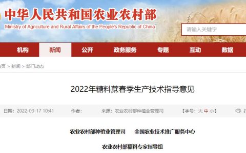 农业农村部：2022年糖料蔗春季生产技术指导意见
