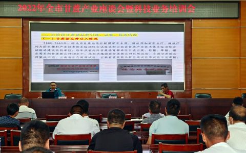 临沧市召开2022年全市甘蔗产业工作座谈会暨科技业务培训会