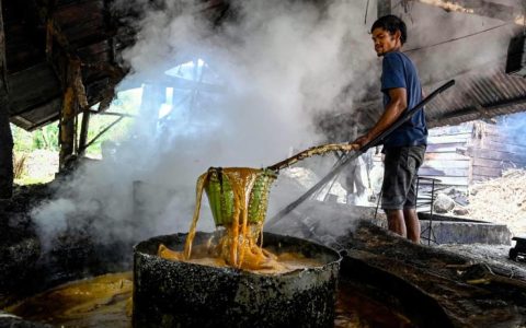 为减少食糖进口依赖 印尼拟开拓甘蔗种植