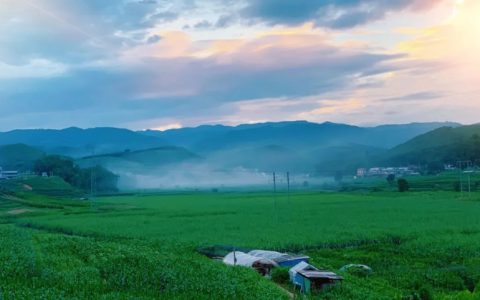 普洱景谷：蔗糖产业的华丽“蝶变”