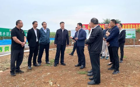 加强农业面源污染综合治理 提升广西糖业发展竞争力