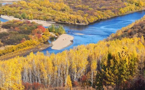 呼伦贝尔额市：致力打造中国北疆“绿色糖都”