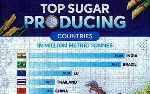 印度媒体：新榨季全球十大产糖国产量排行